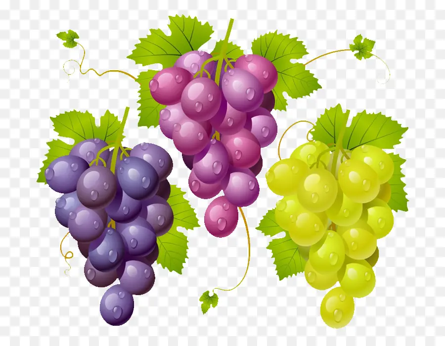 Uvas，Enredadera PNG