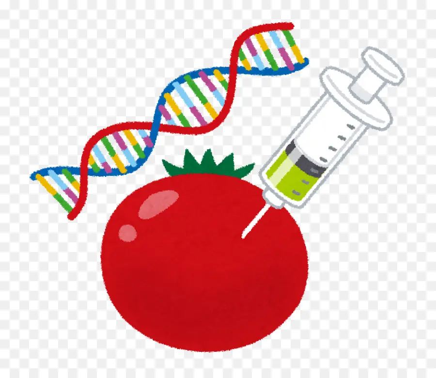 Los Cultivos Modificados Genéticamente，La Ingeniería Genética PNG