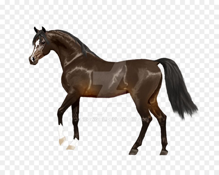 Caballo Decorado，Patrones Verdes PNG