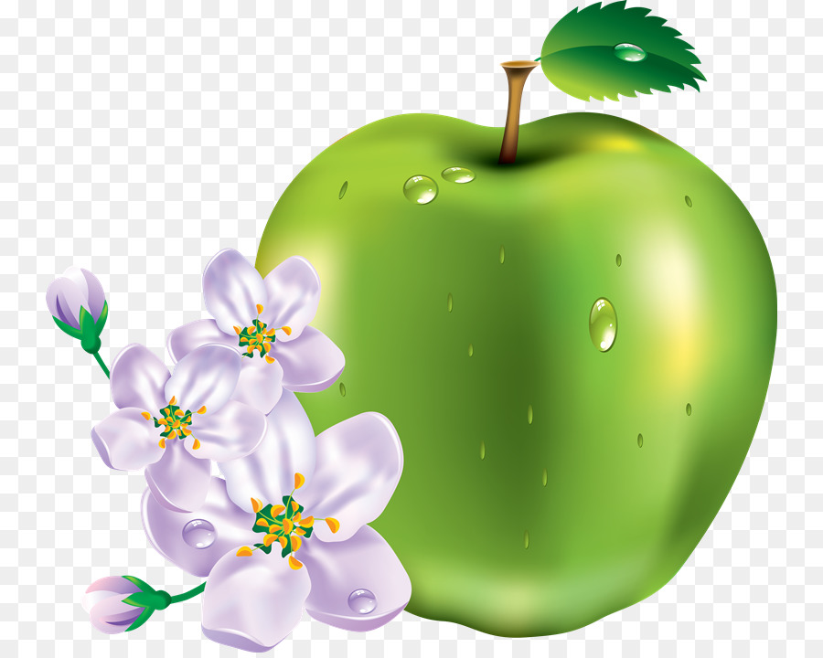 Fruta，Manzana PNG