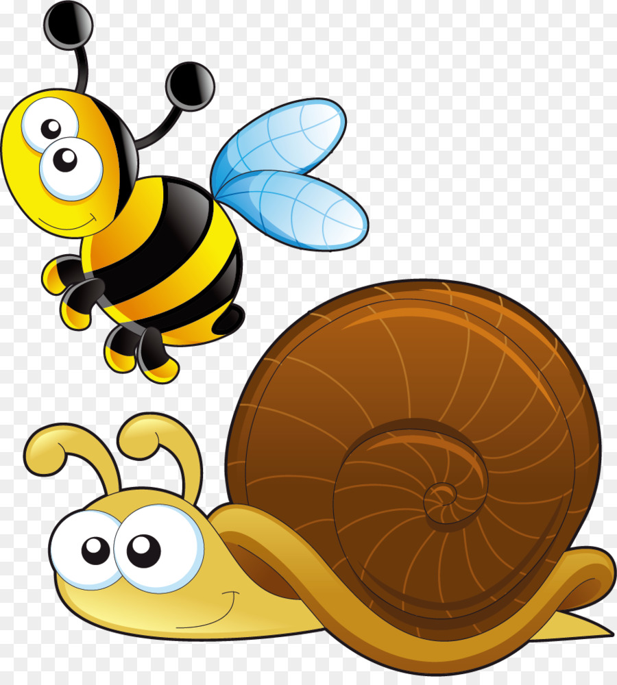 Caracol，Gasterópodos PNG