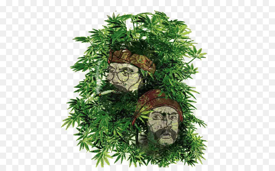 Cannabis Medicinal，Kush PNG