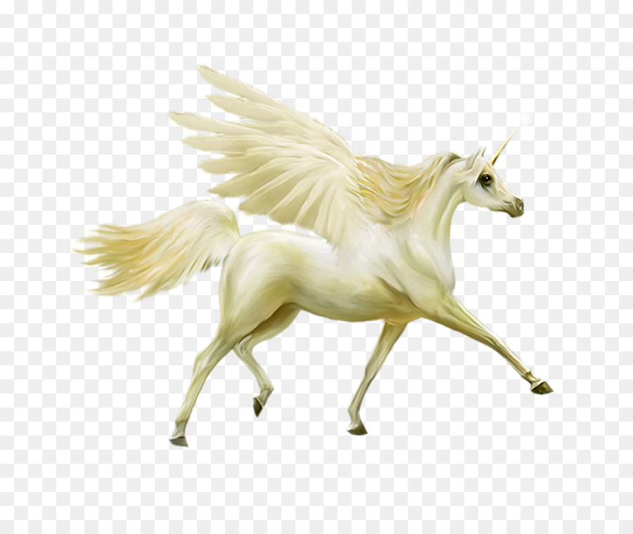 Caballo，Unicornio PNG