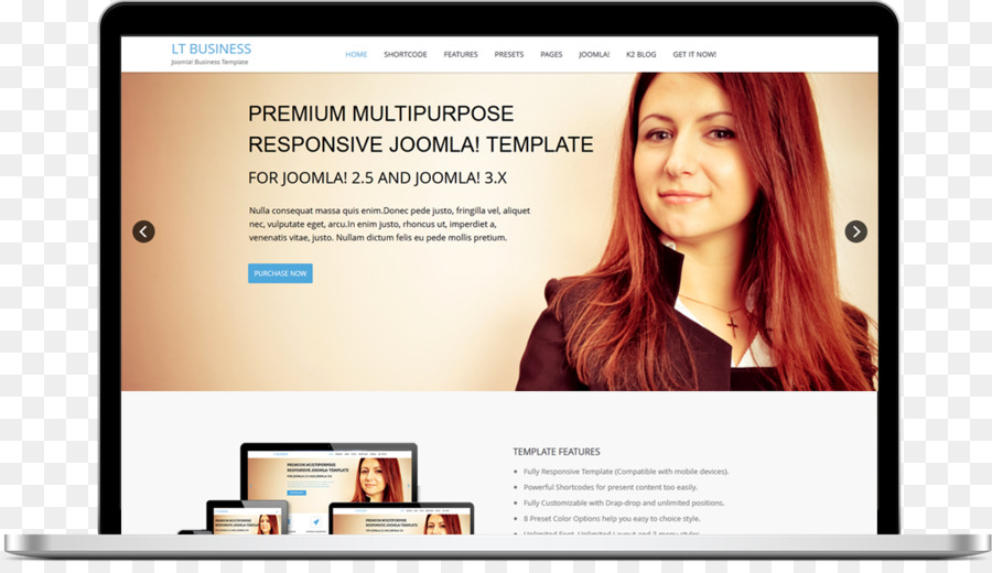 Profesional Joomla，Plantilla PNG