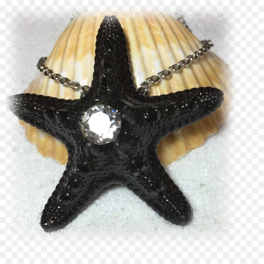 Collar De Estrella De Mar，Negro PNG