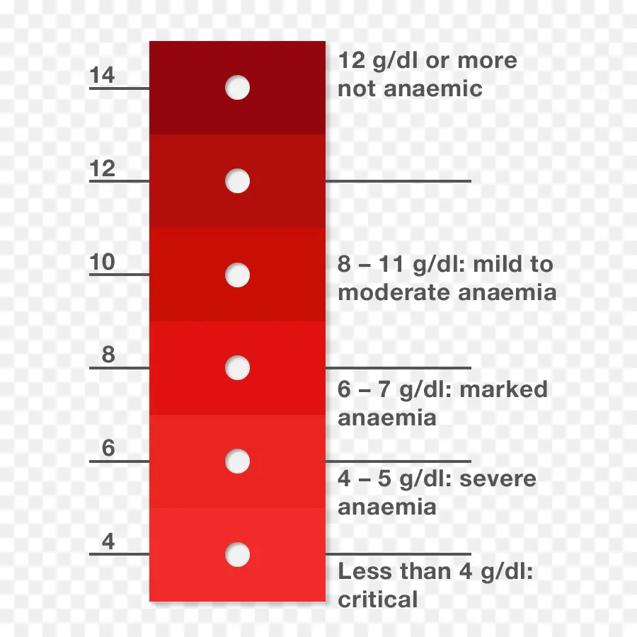 Tabla De Anemia，Hemoglobina PNG