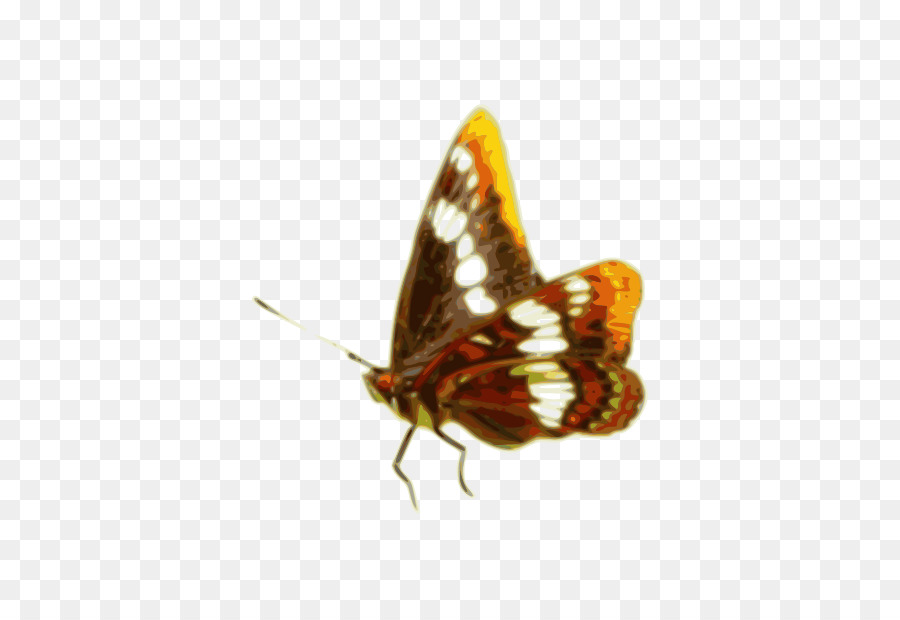 Mariposas Con Pincel，Mariposa PNG