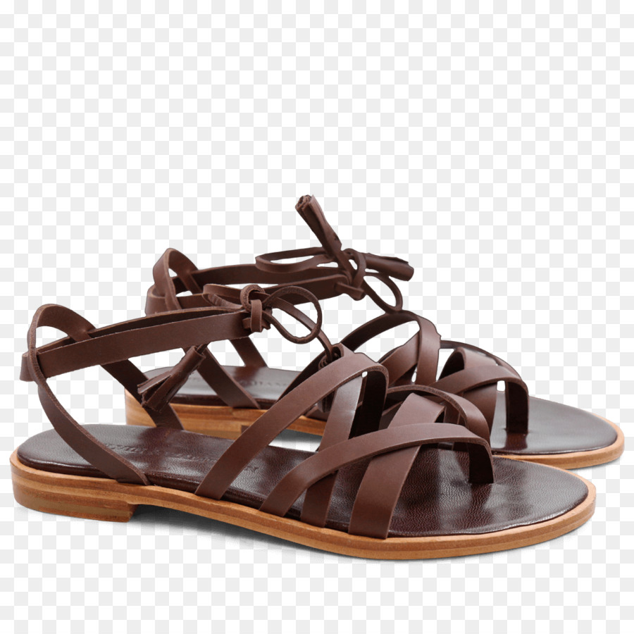 Sandalia，Zapato PNG