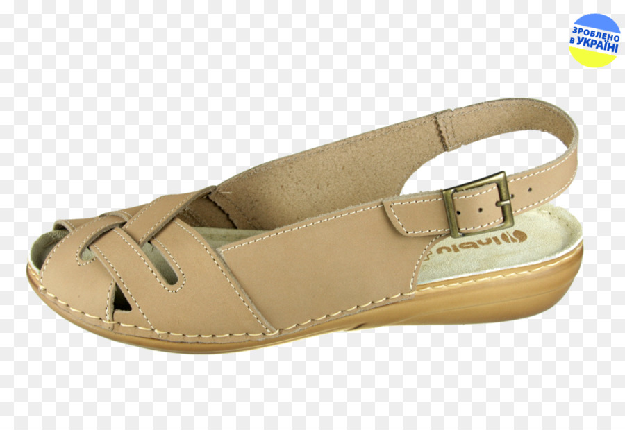 Deslizar，Zapato PNG