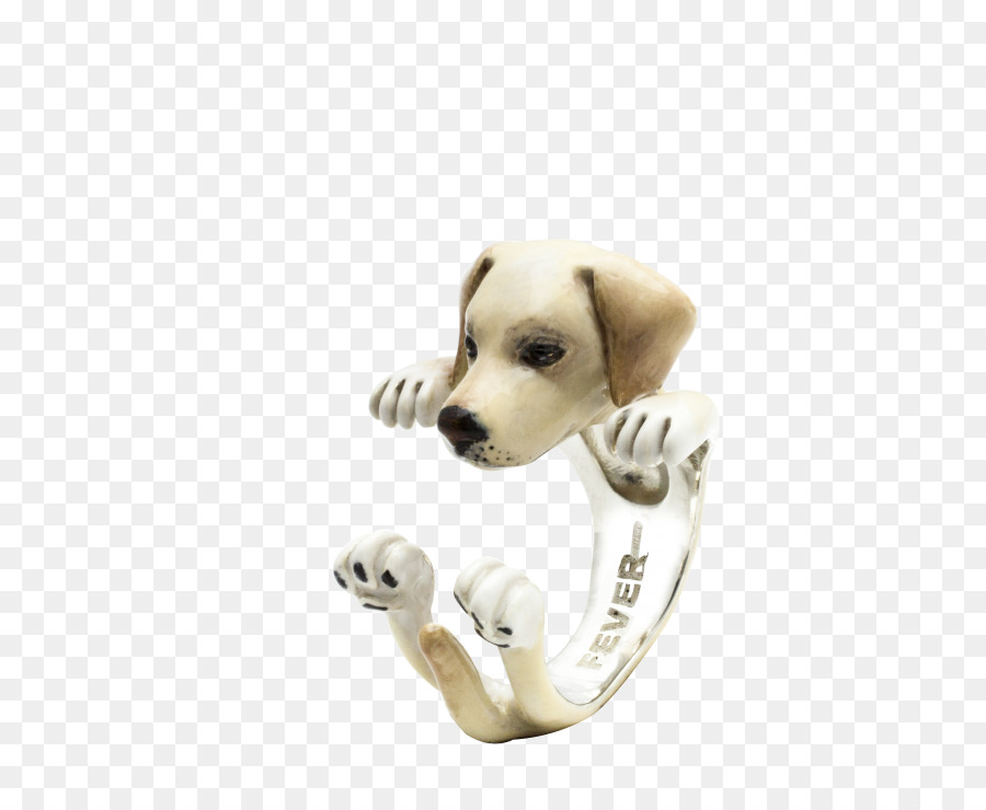 Labrador Retriever，Cachorro PNG