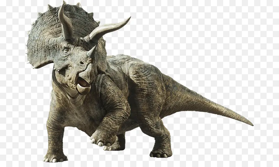 Triceratops，Brachiosaurus PNG