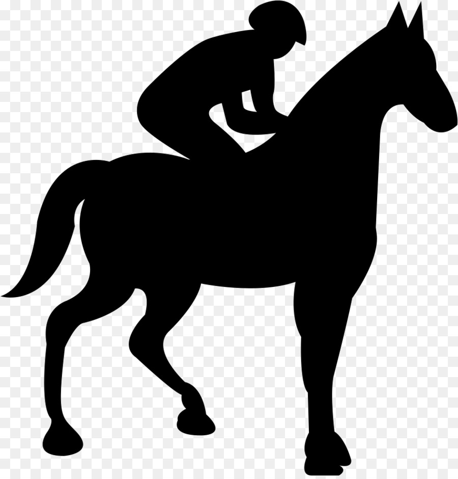 Caballo，Jockey PNG