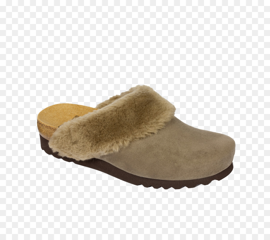 Zapatilla，Zapato PNG