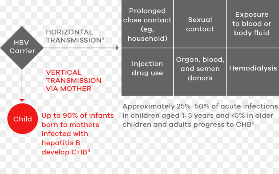 Hepatitis，Hepatitis B PNG