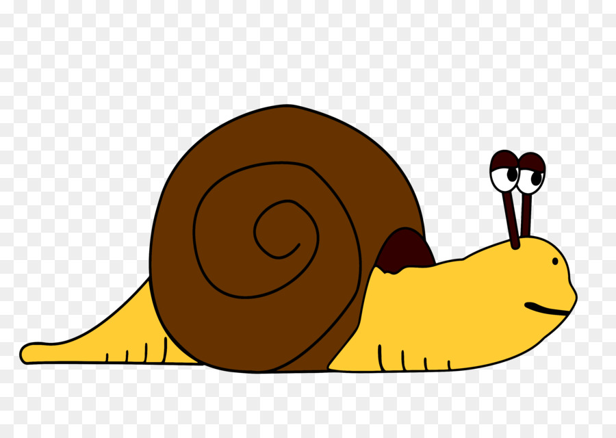 Caracol，Molusco PNG