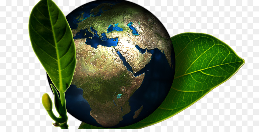 Entorno Natural，Día Mundial Del Medio Ambiente PNG