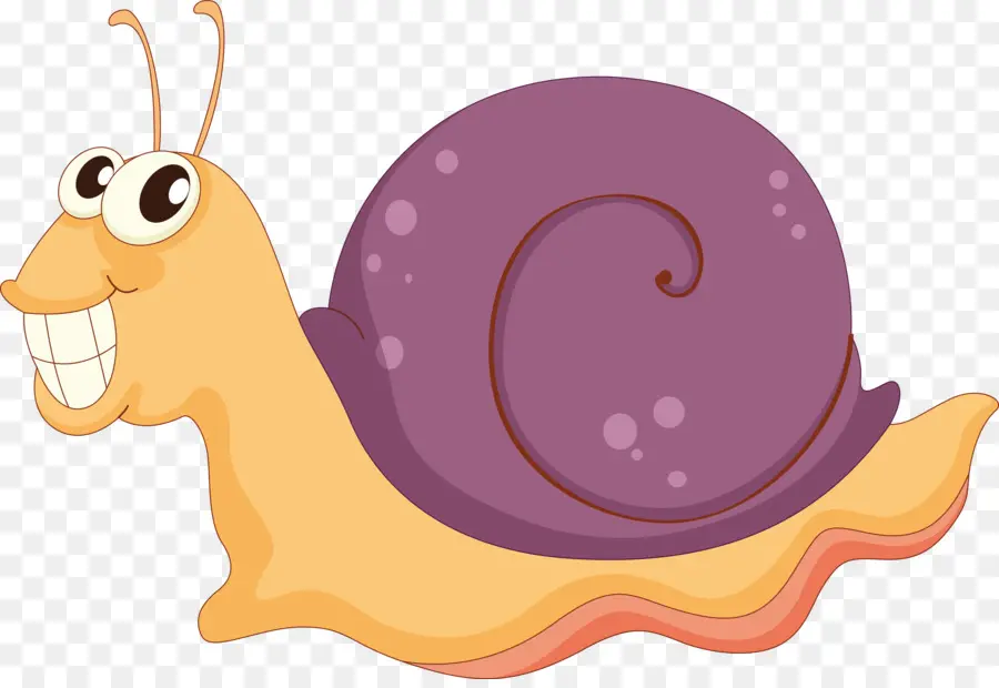 Caracol，Animal PNG