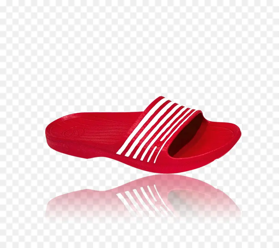 Chancletas，Zapatilla PNG