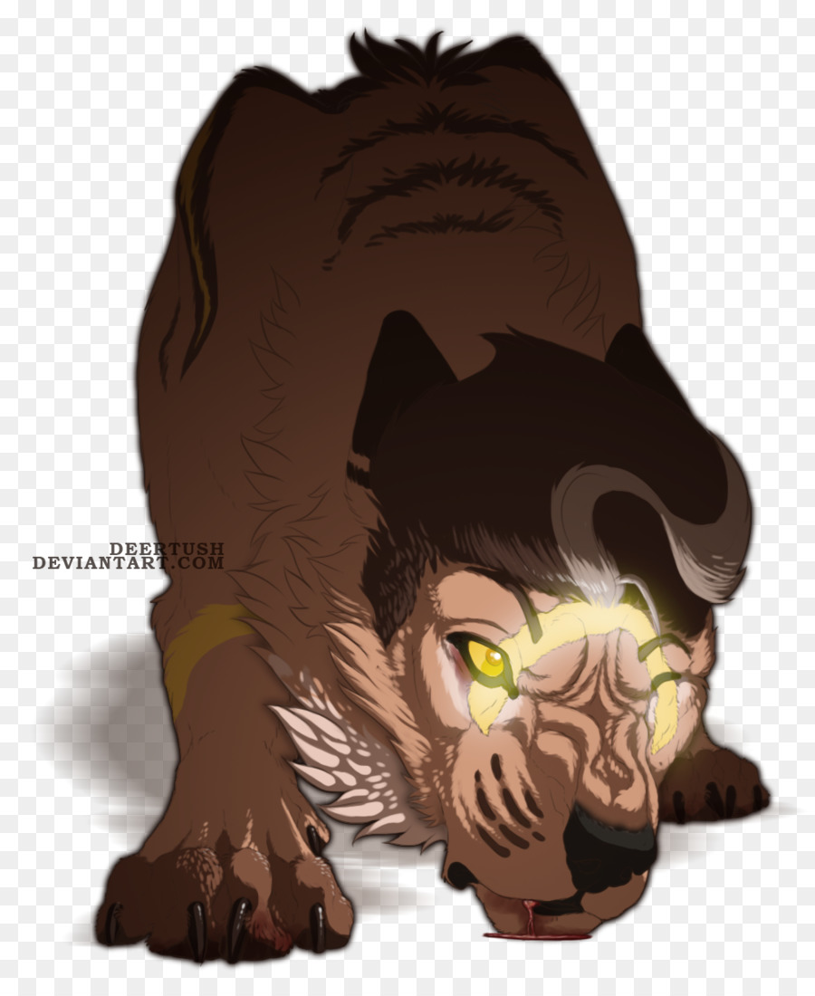 Gato，Perro PNG