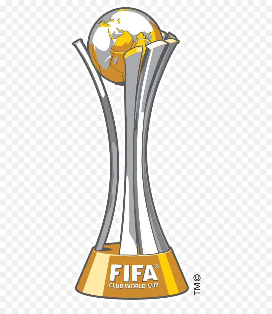 Copa Mundial De La Fifa 2010，Copa Mundial De La Fifa 2014 PNG