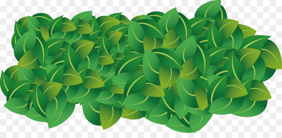 Verdes Primaverales，Lechuga PNG