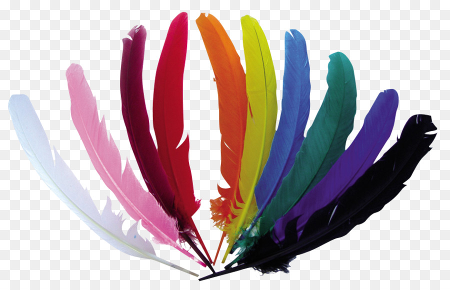 Pluma，Color PNG