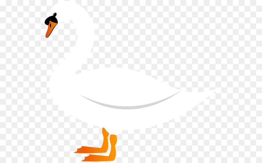 Pato，Ganso PNG