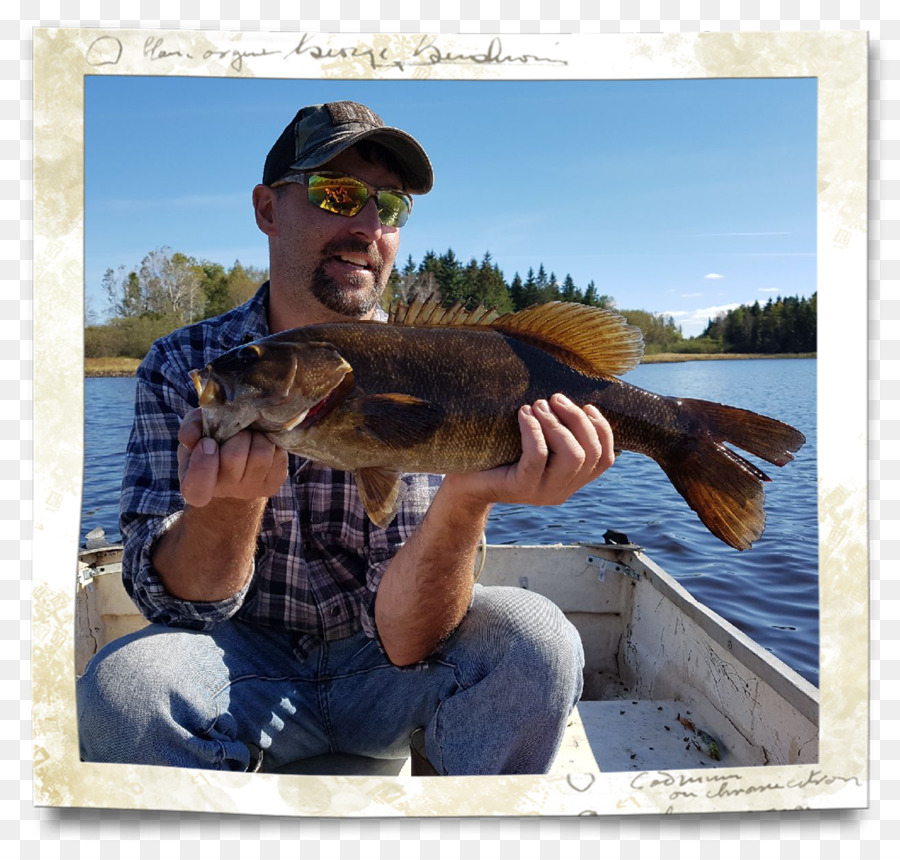 Pesca，Gafas De Sol PNG