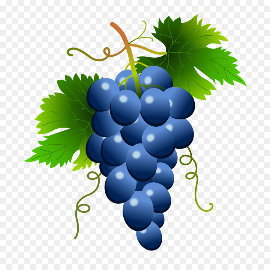 Vine De Uva Común，Vino PNG