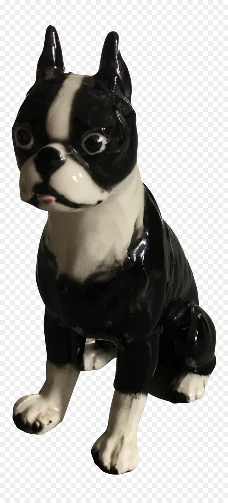 Boston Terrier，Perro Compañero PNG