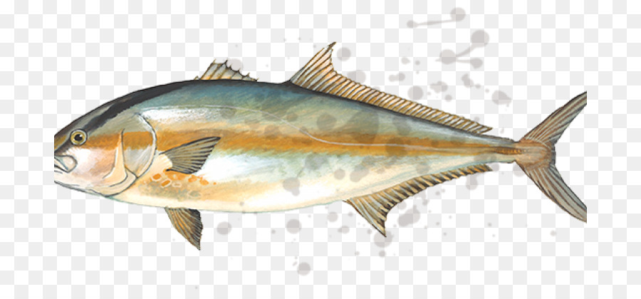 Tunas Verdaderos，Caballa PNG