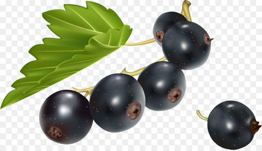 Grosella Zante，Grosella Negra PNG