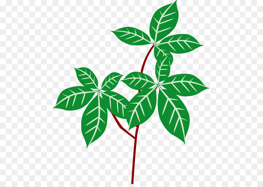 Planta De Casa，Plantas PNG