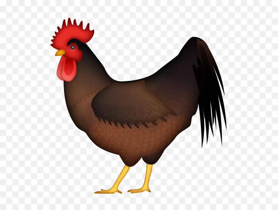 Gallo Negro，Pájaro PNG