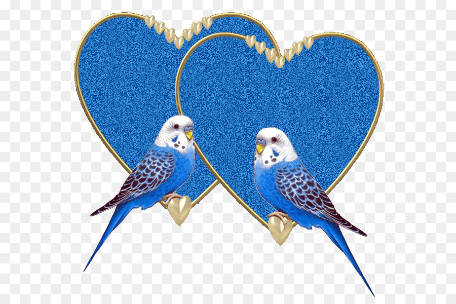 Corazones Azules Y Pájaros，Amar PNG