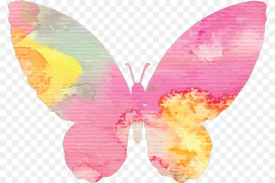 Mariposa，Pintura De Acuarela PNG