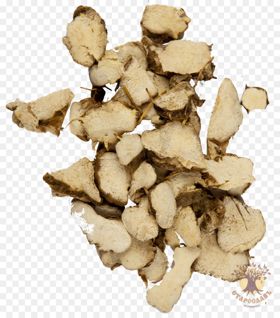 Dioscorea Caucasica，Batata PNG