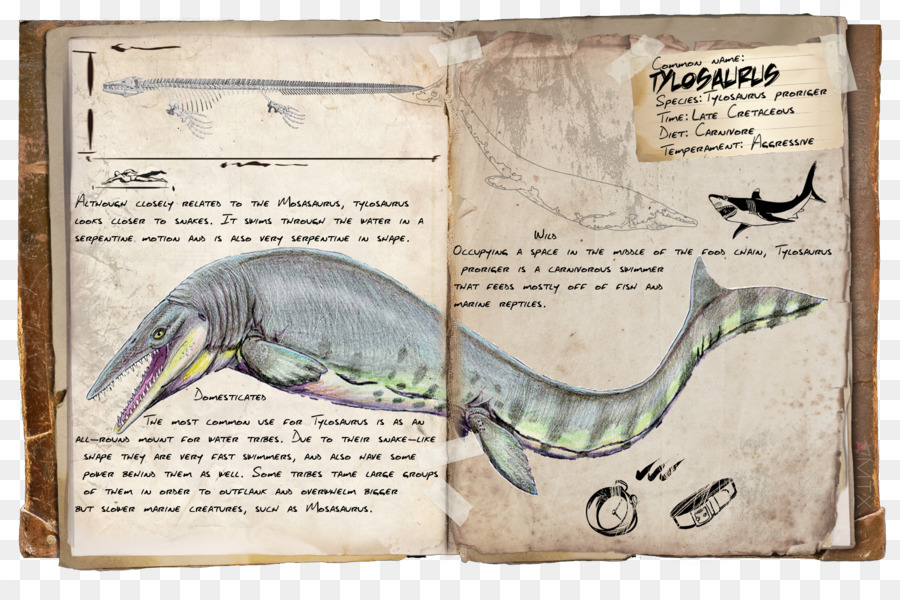 La Supervivencia Del Arca Evolucionó，Tylosaurus PNG