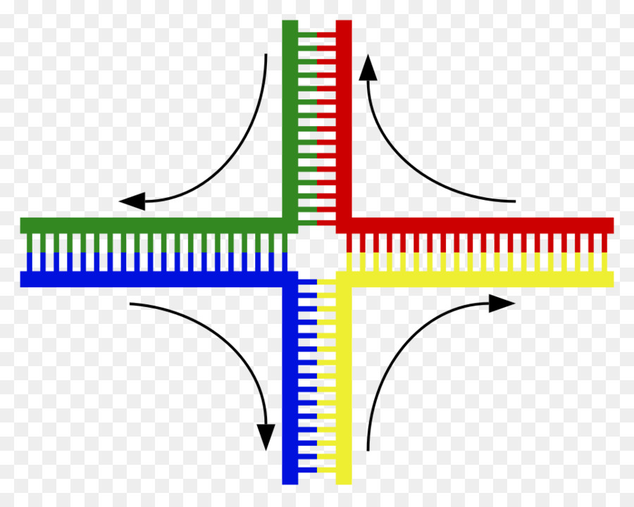 Junction Holliday，Adn PNG