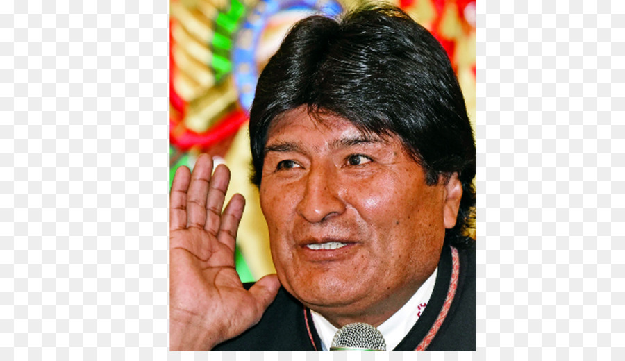 Bolivia，Referéndum PNG