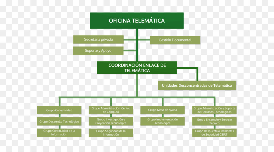 Organigrama，Organización PNG