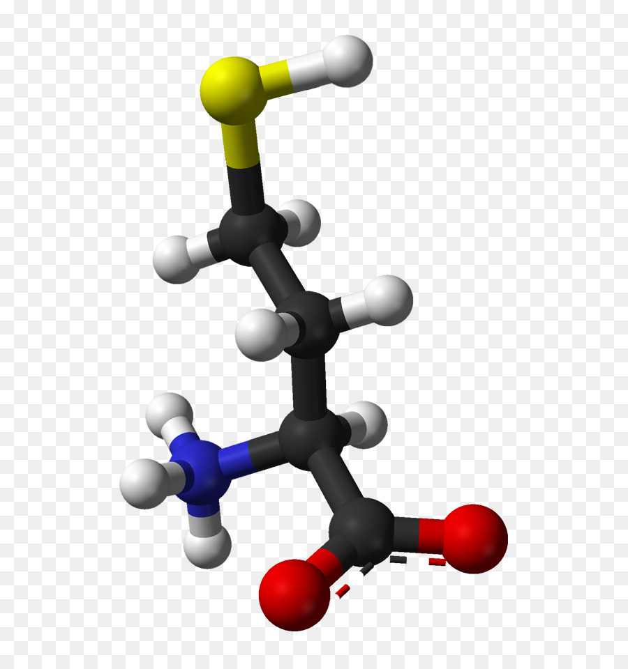 Homocisteína，Salud PNG