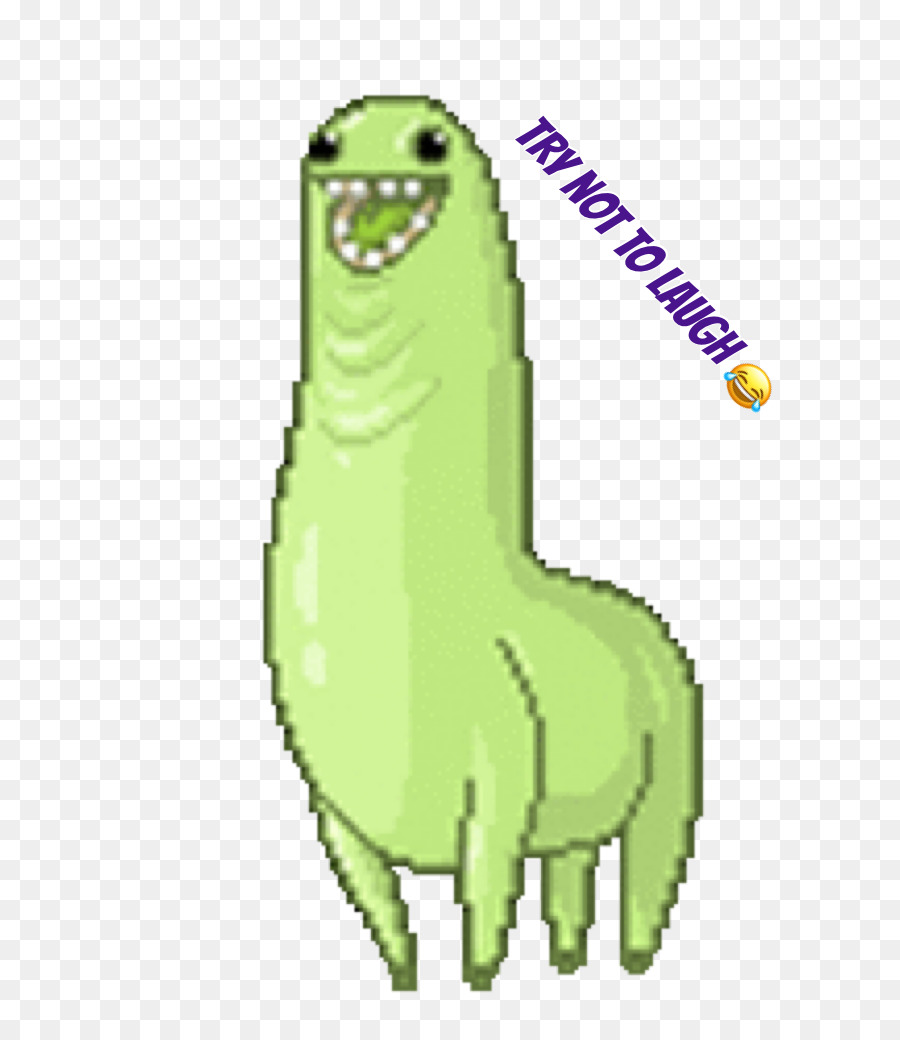 Llama，Tenor PNG