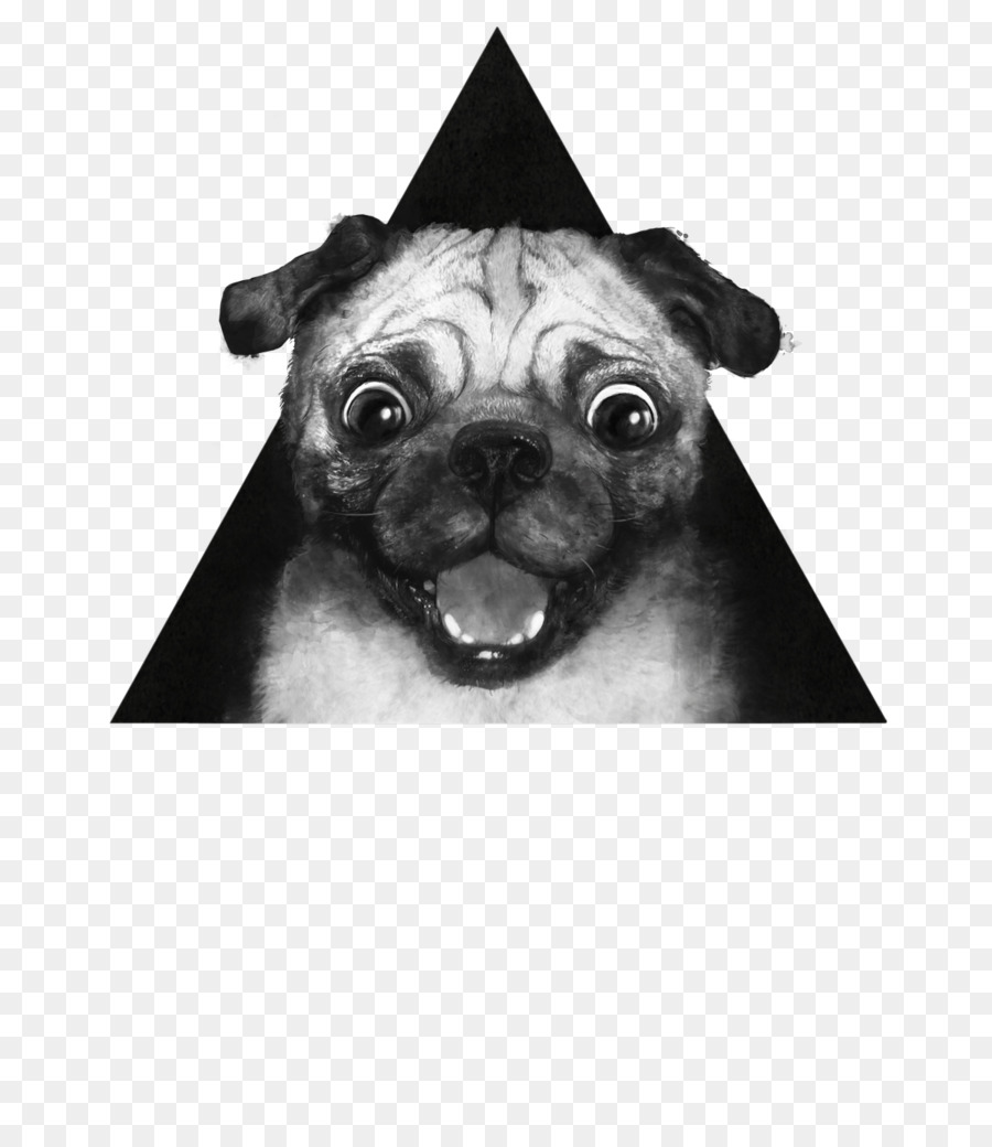 Perro Pug，Mascota PNG