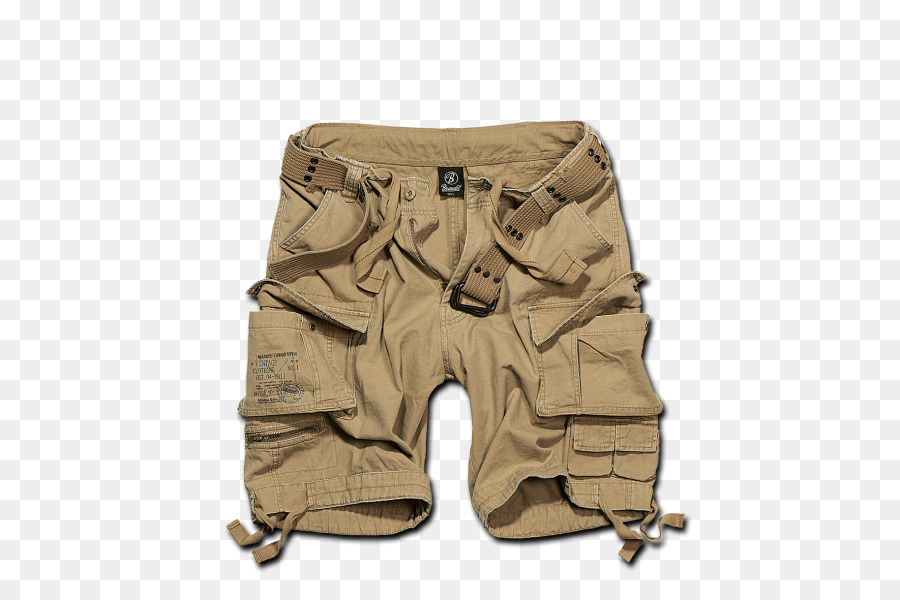 Bermudas，Pantalones PNG