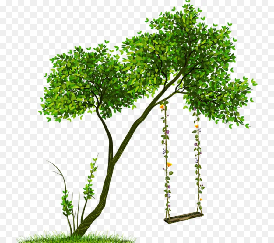 árbol Con Columpio，Verde PNG