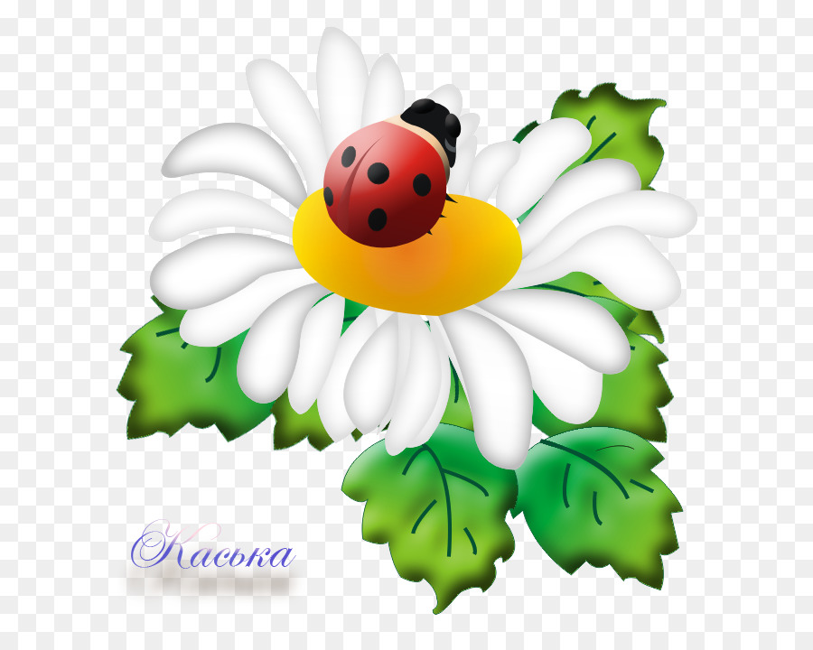 Mariquita En Flor，Margarita PNG