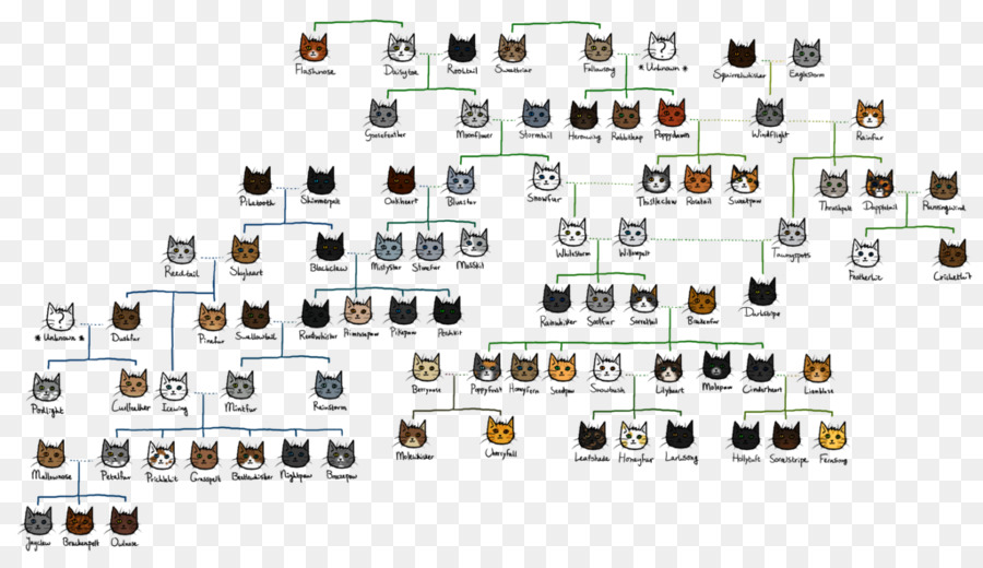 árbol Genealógico De Los Gatos，Gatos PNG