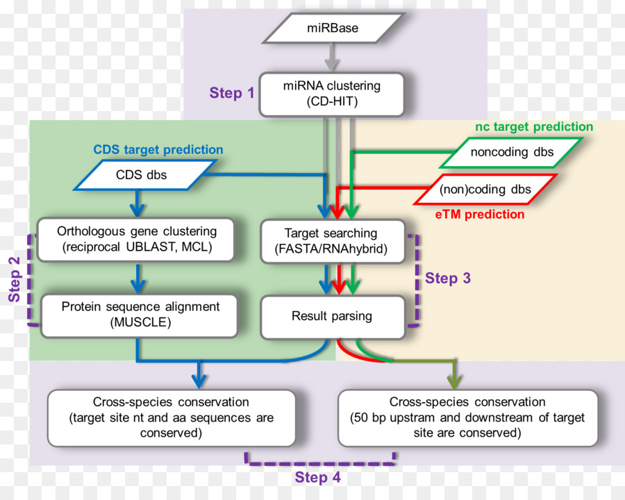 Diagrama，Aprendiendo PNG