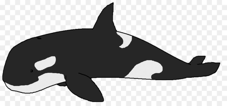 Orca，Ballena PNG